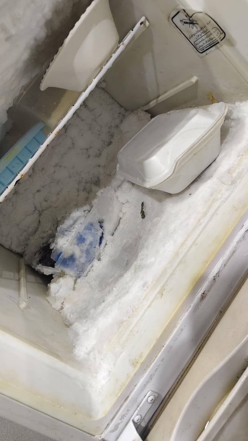 Dawlance Medium size fridge 3