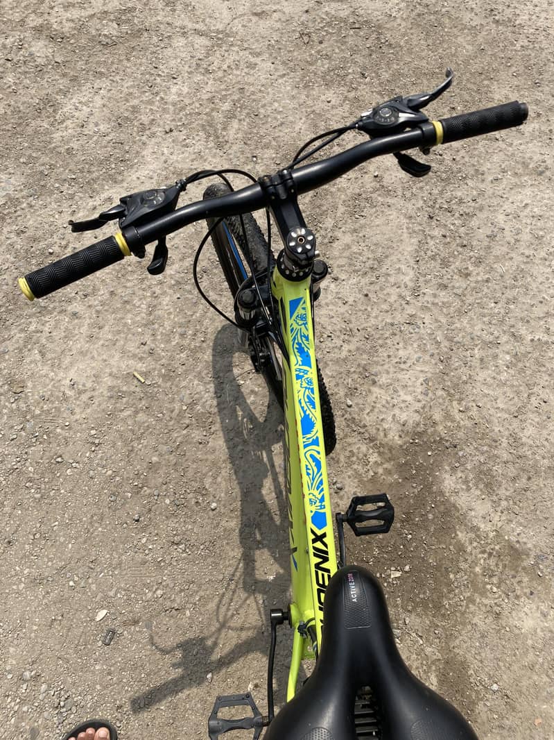 Phoenix Cycle 2