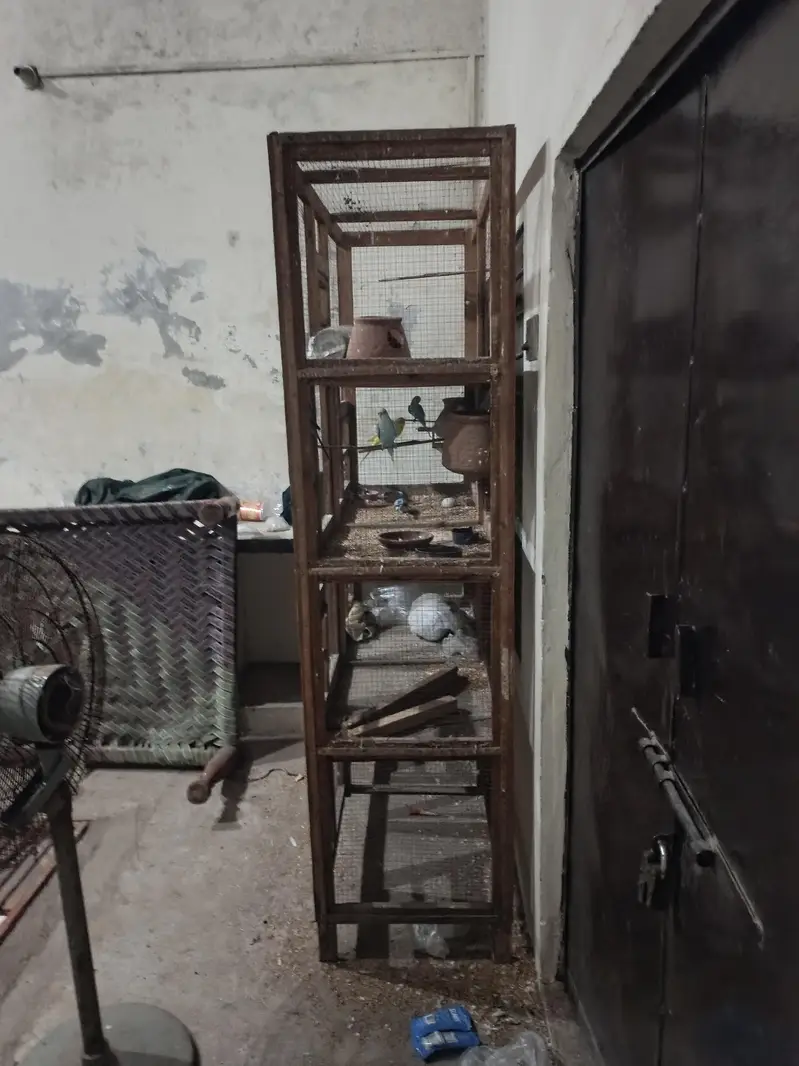 7 poshion cage — photo 2