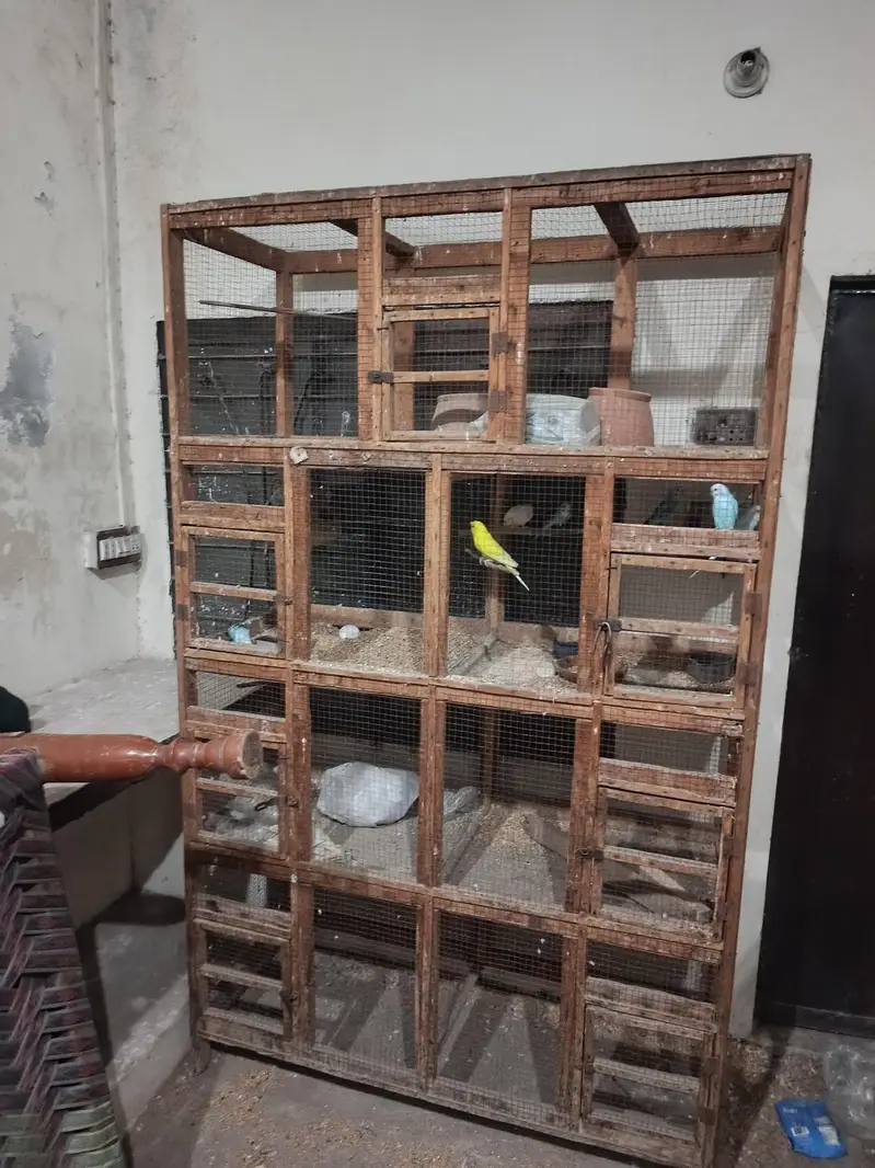 7 poshion cage — photo 3