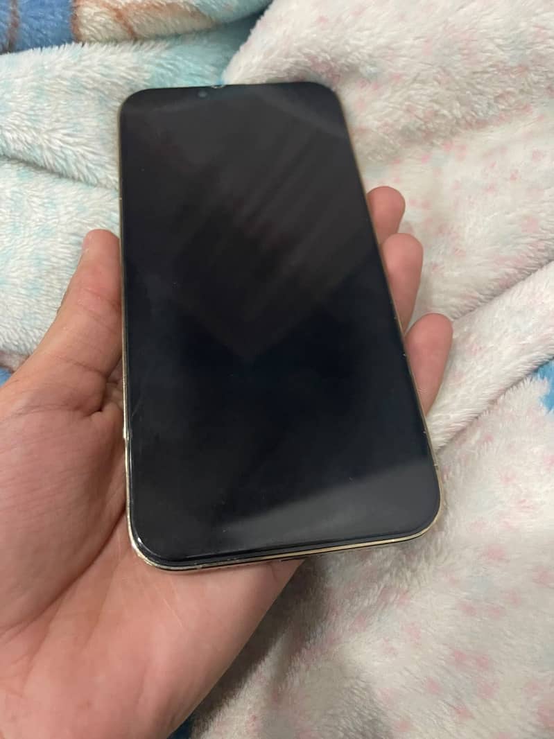 Apple iPhone 13 Pro Max 1