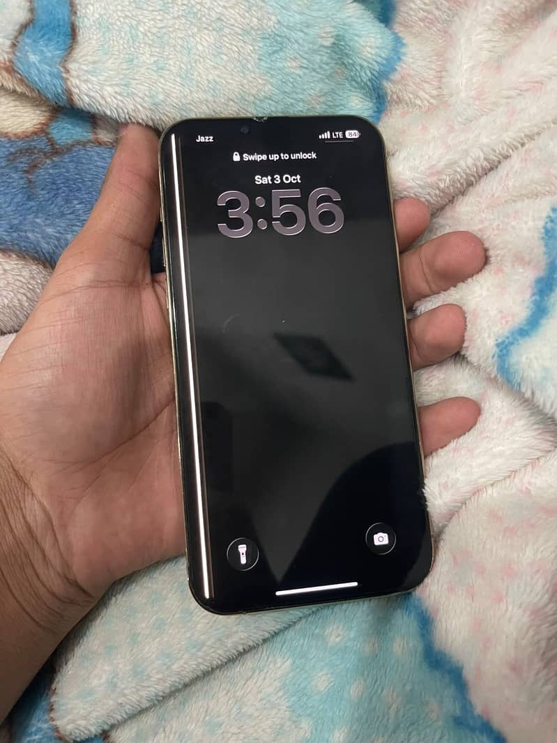 Apple iPhone 13 Pro Max 2