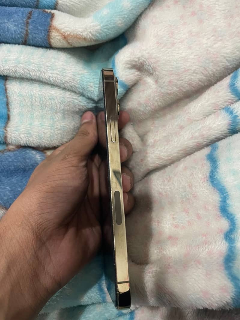 Apple iPhone 13 Pro Max 3