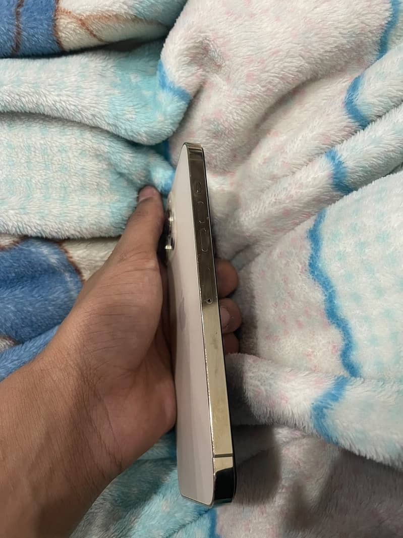 Apple iPhone 13 Pro Max 4