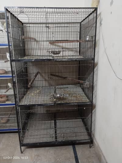 big angle cage
