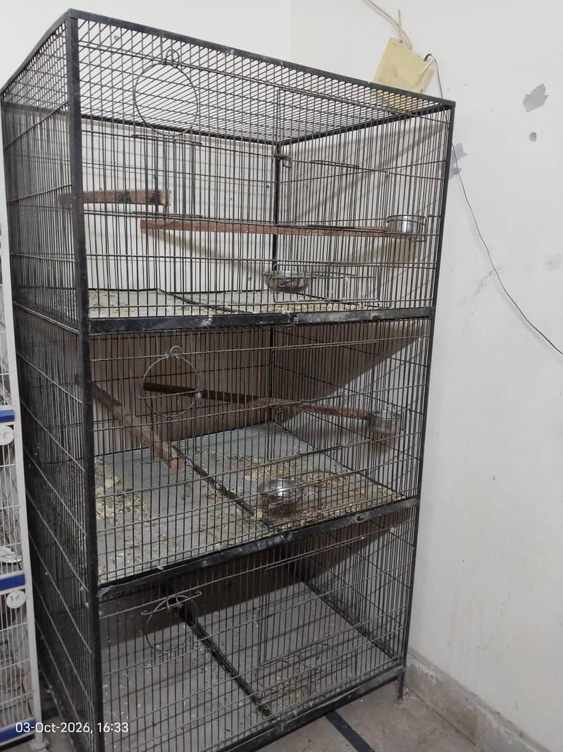 big angle cage 1