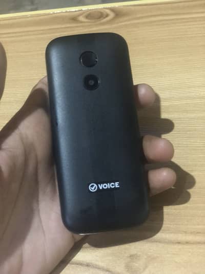 VOICE Other Model