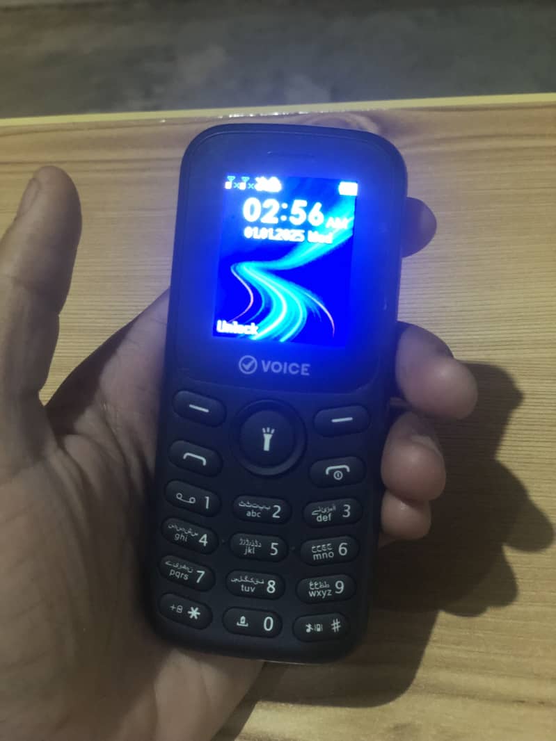 VOICE Other Model 2