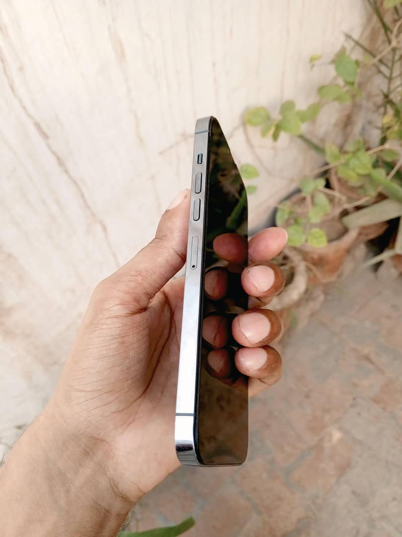 Apple iPhone 13 Pro Max 256 GB 3