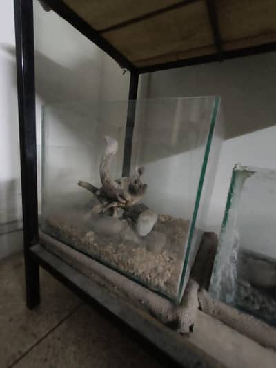 2 used Aquariums for sale