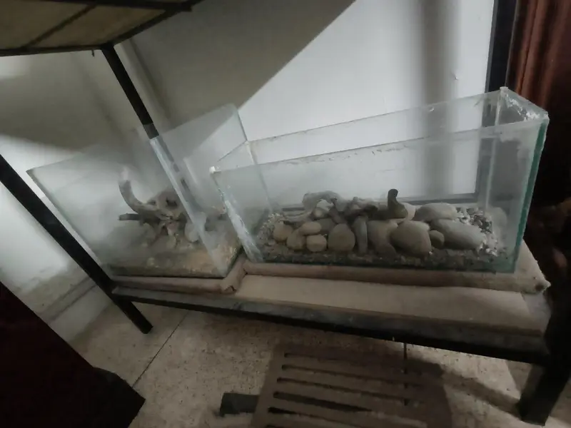 2 used Aquariums for sale — photo 2
