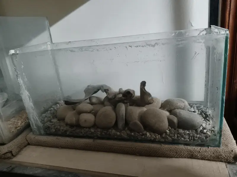 2 used Aquariums for sale — photo 3