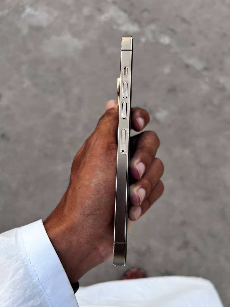 Apple iPhone 13 Pro Max 2