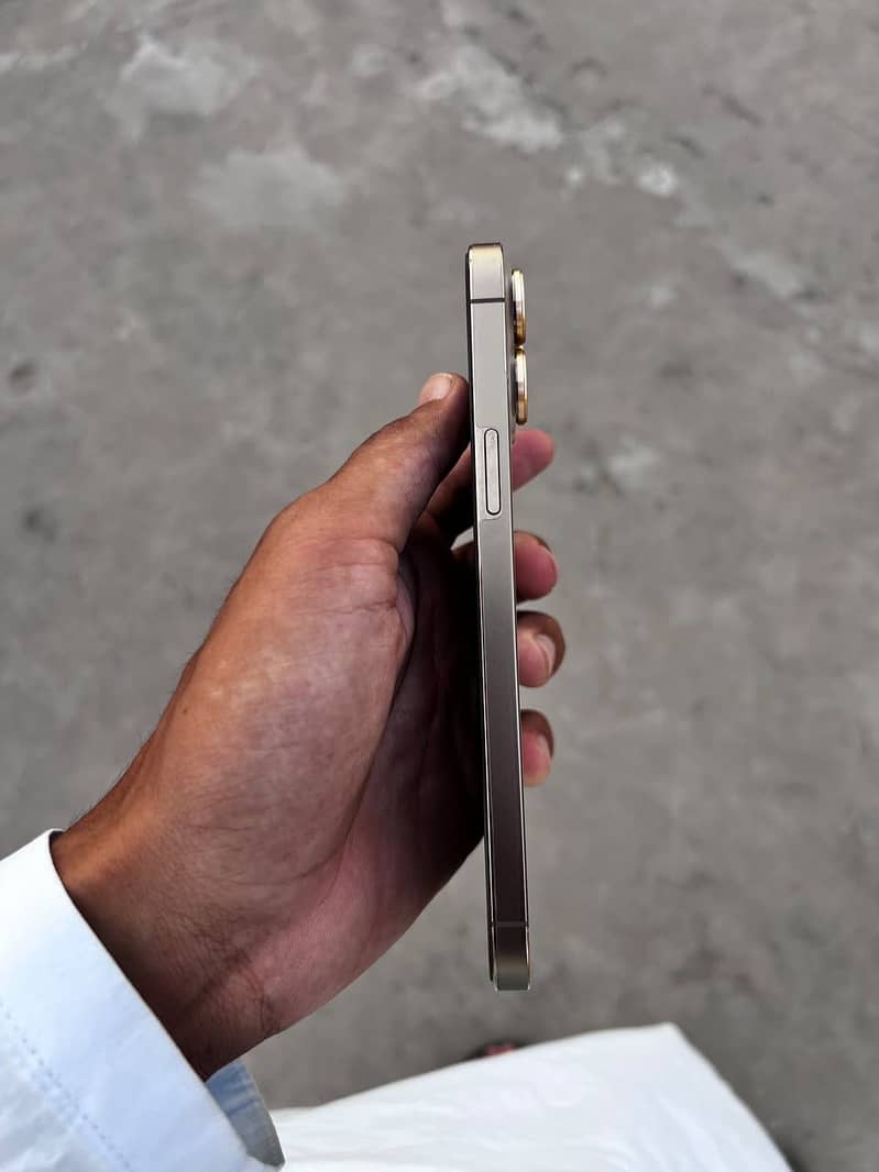 Apple iPhone 13 Pro Max 3