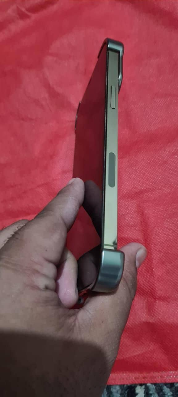 Apple iPhone 12 Pro Max 1
