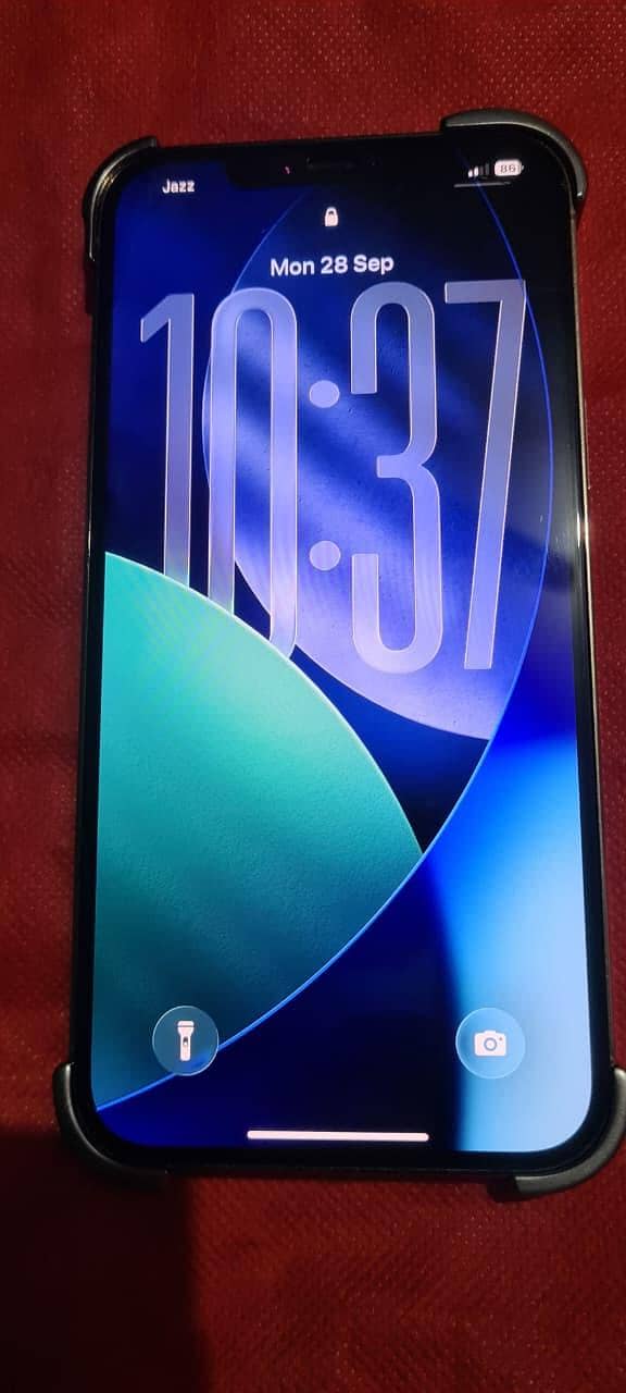 Apple iPhone 12 Pro Max 2