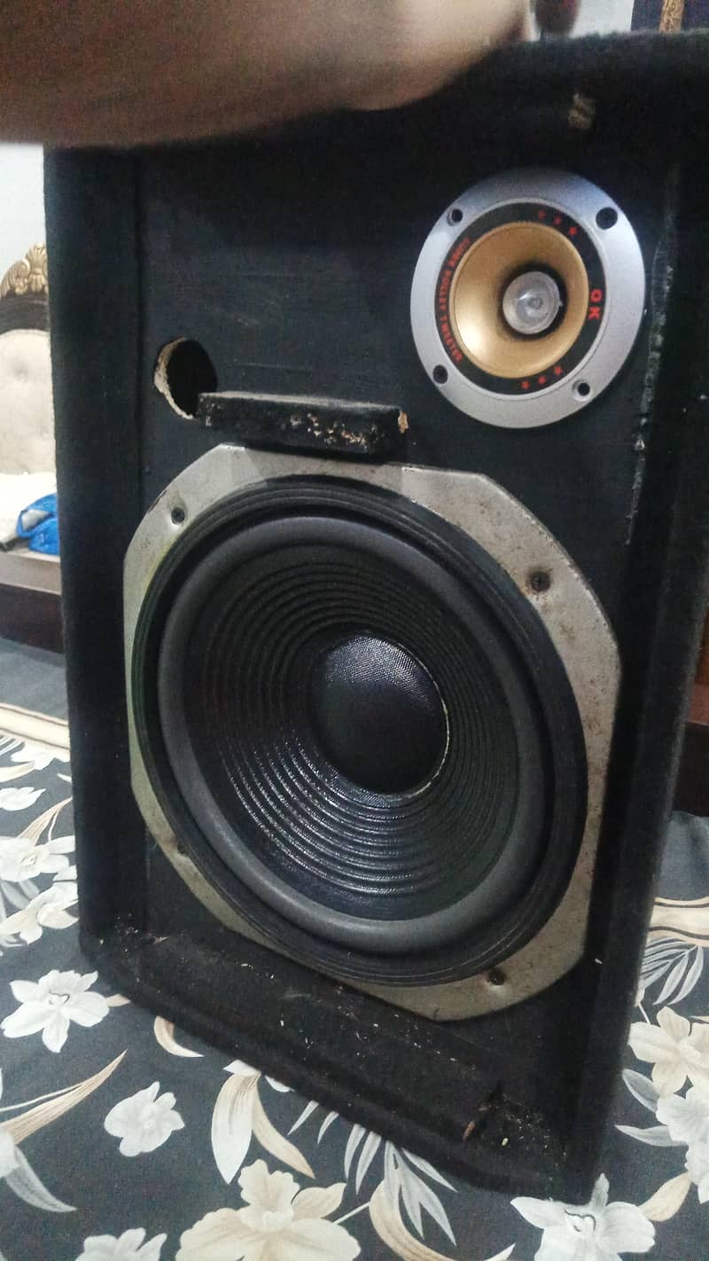 10 inch subwofer 2