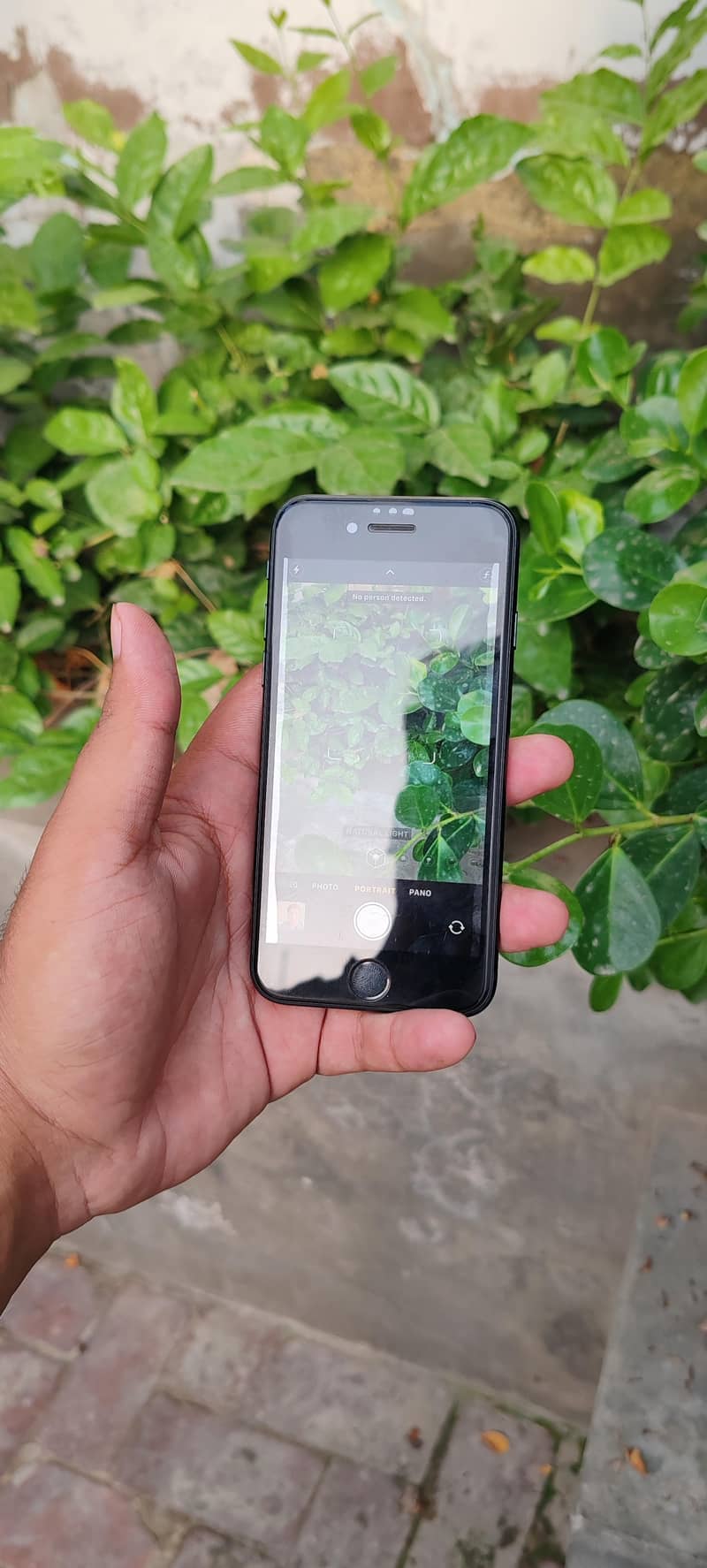 Apple iPhone SE 5