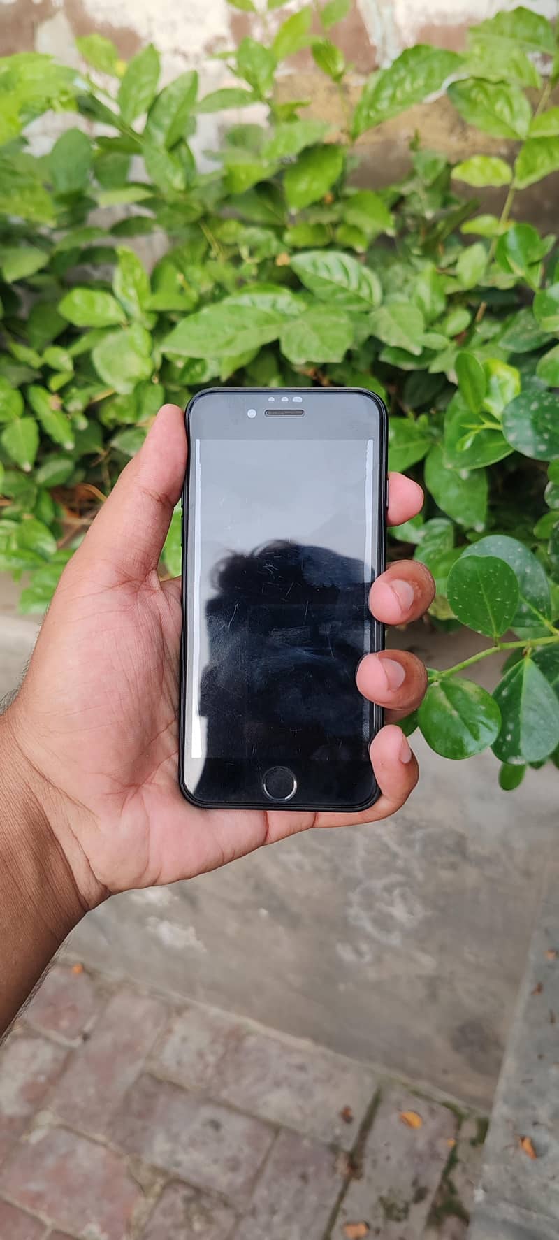 Apple iPhone SE 6
