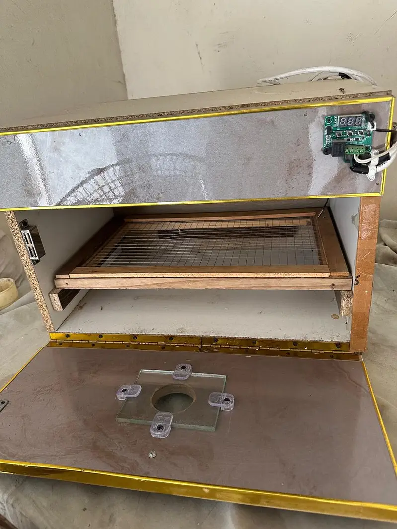 incubator — photo 2