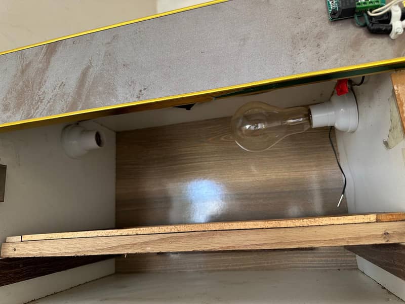 incubator 2