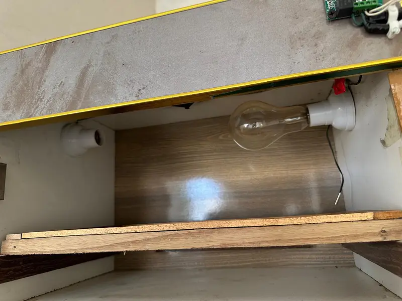incubator — photo 3