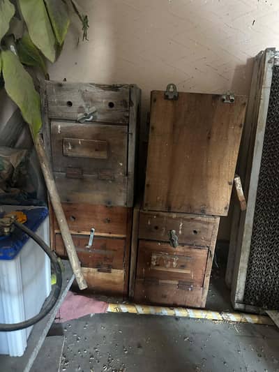 cage + breading boxes