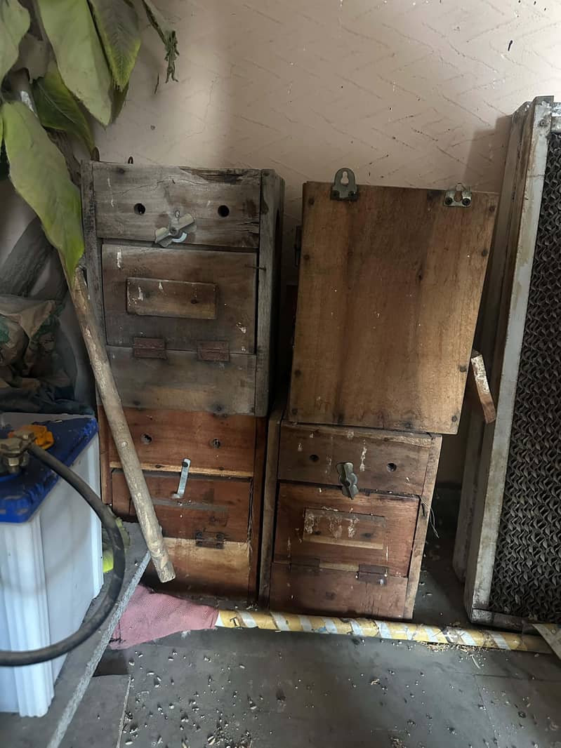 cage + breading boxes 1