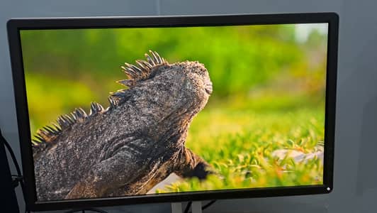 Beautiful 26 Inch 1080P HD monitor with HDMI connector