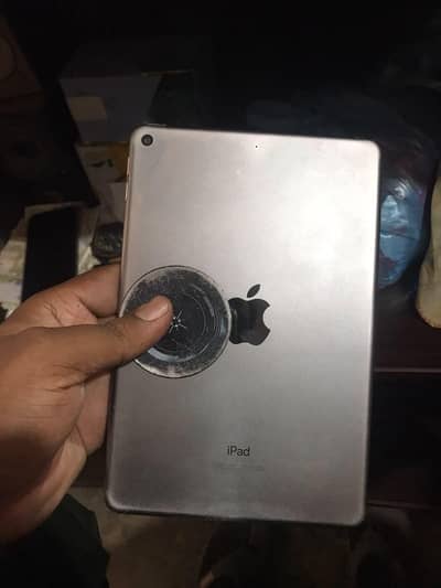 iPad Mini 5 all Ok