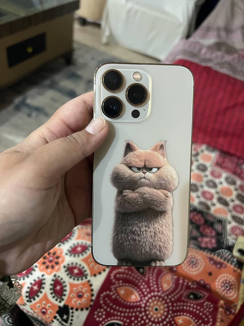 Apple iPhone 13 Pro 0