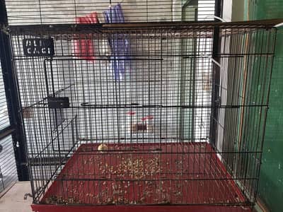 2.5 x 1.5 and 2x1.5 cages for sale