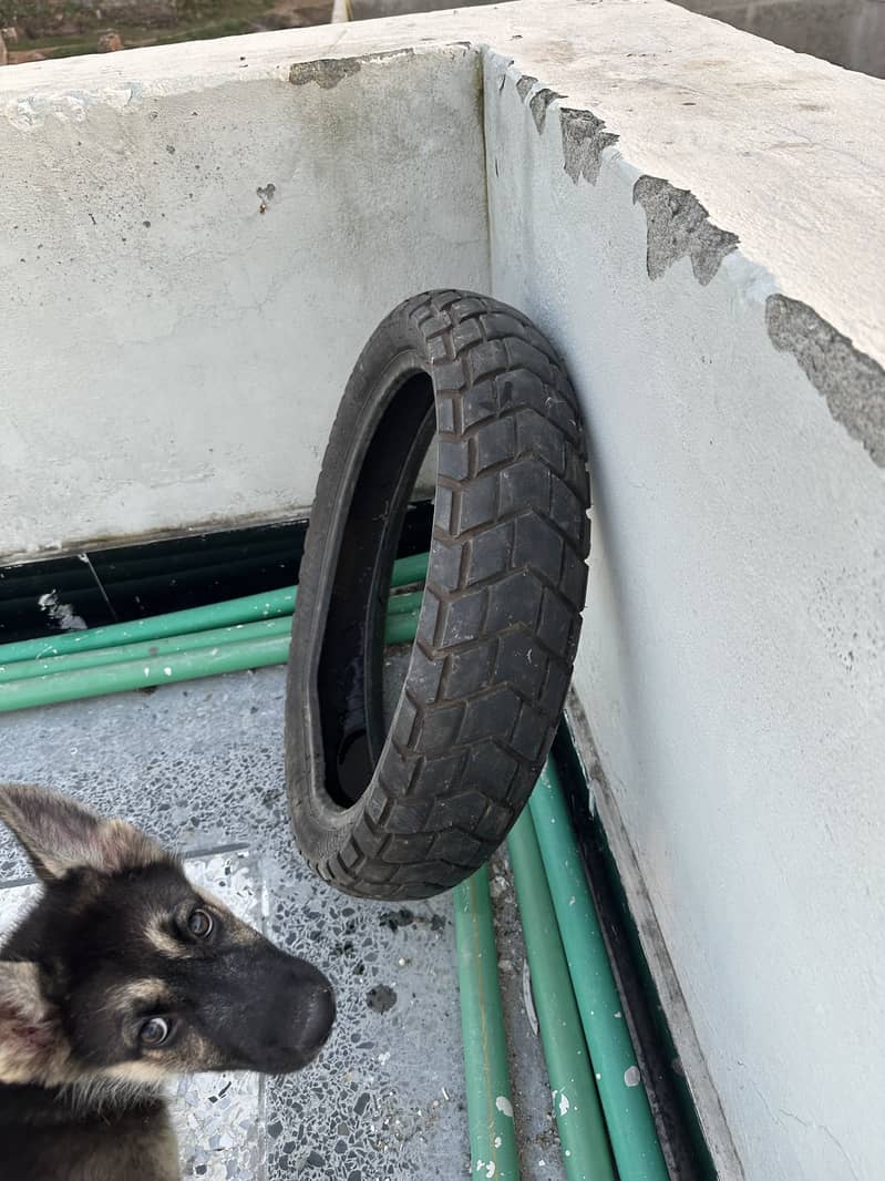 Timson tire 2
