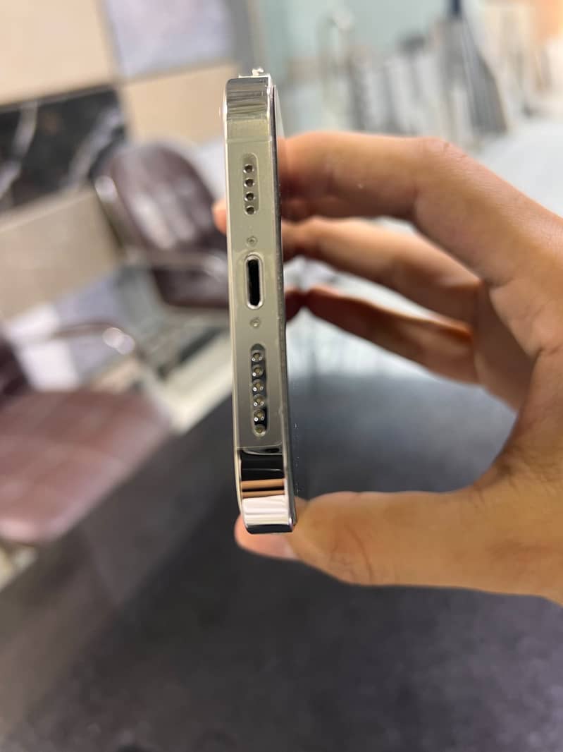 iPhone 13 pro max 1
