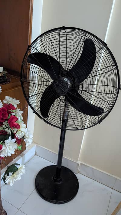 Pedestal fan for sale