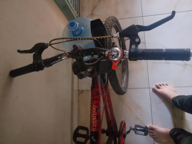 cycle 3