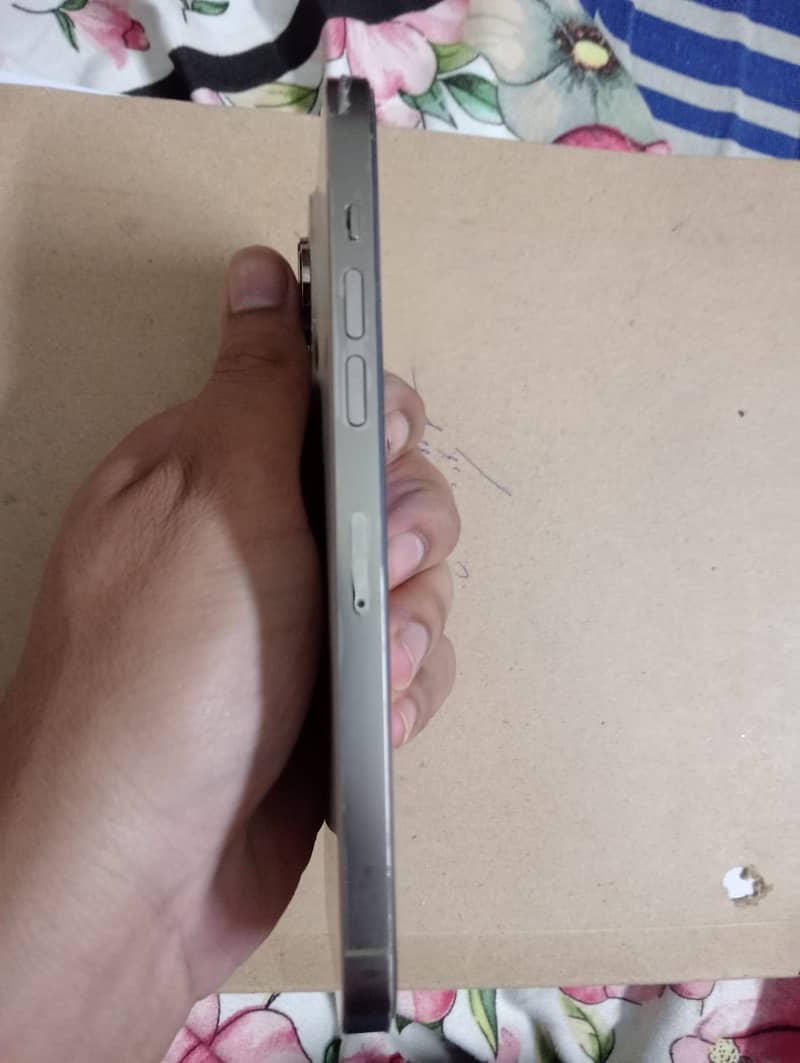 Apple iPhone 14 Pro Max 4