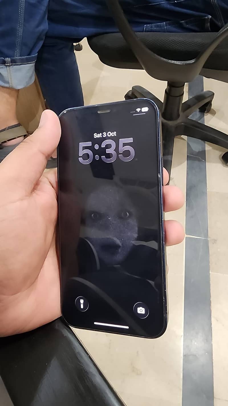 Apple iPhone 12 1