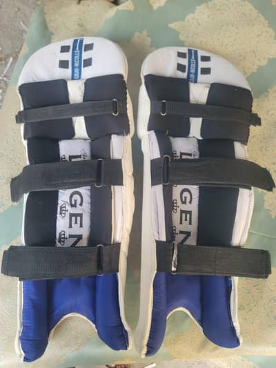 cricket pads