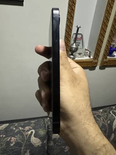 iPhone 16E