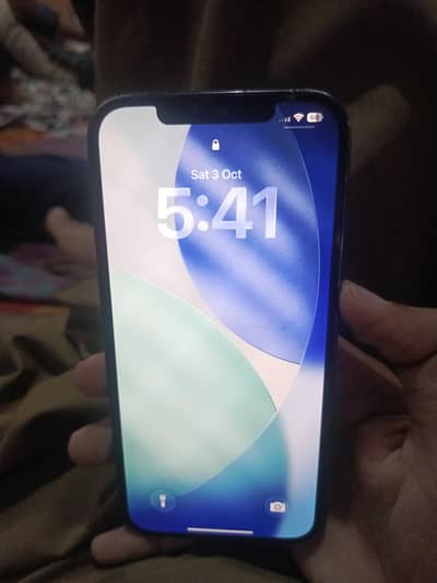 Apple iPhone 12 Pro Max