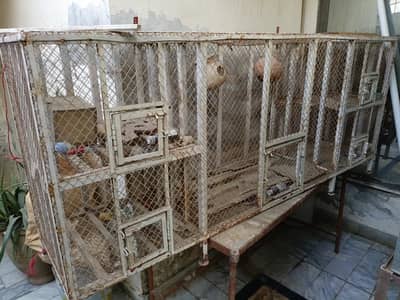 Big Size Bird cage