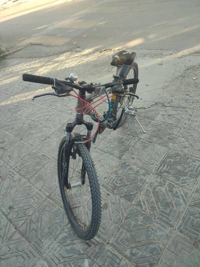 Giant bike