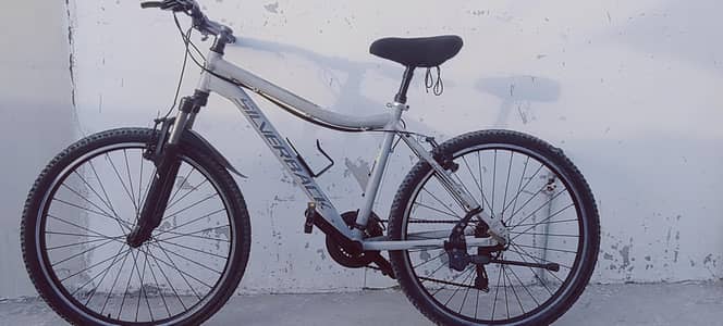 Silver Back original mountain bike/bycycle