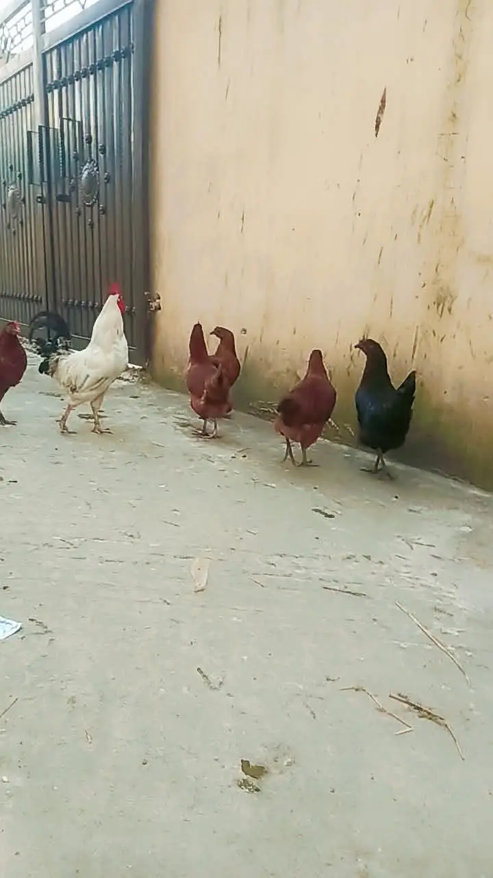 statar andy new new de rahi ha — photo 6