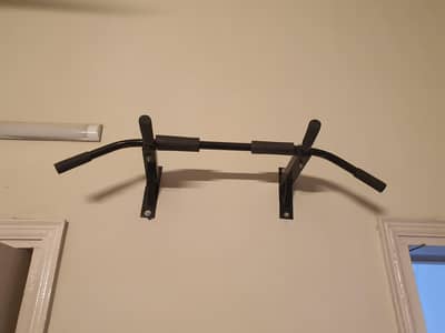 wall mounted pull up bar