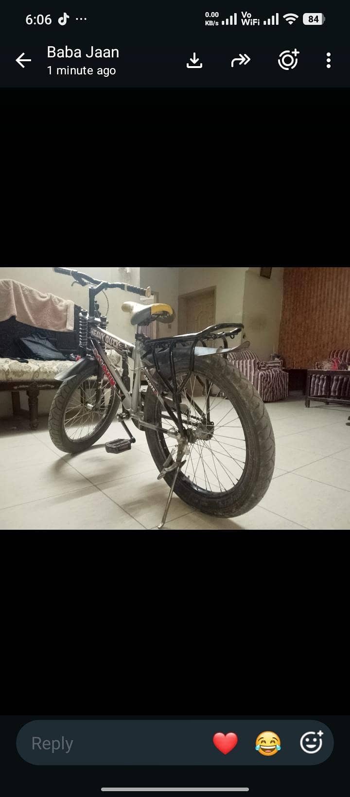 cycle fat tire 2