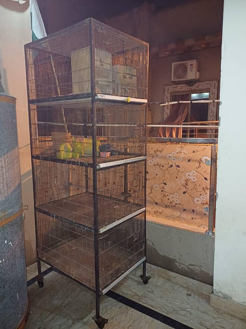 Cages 1