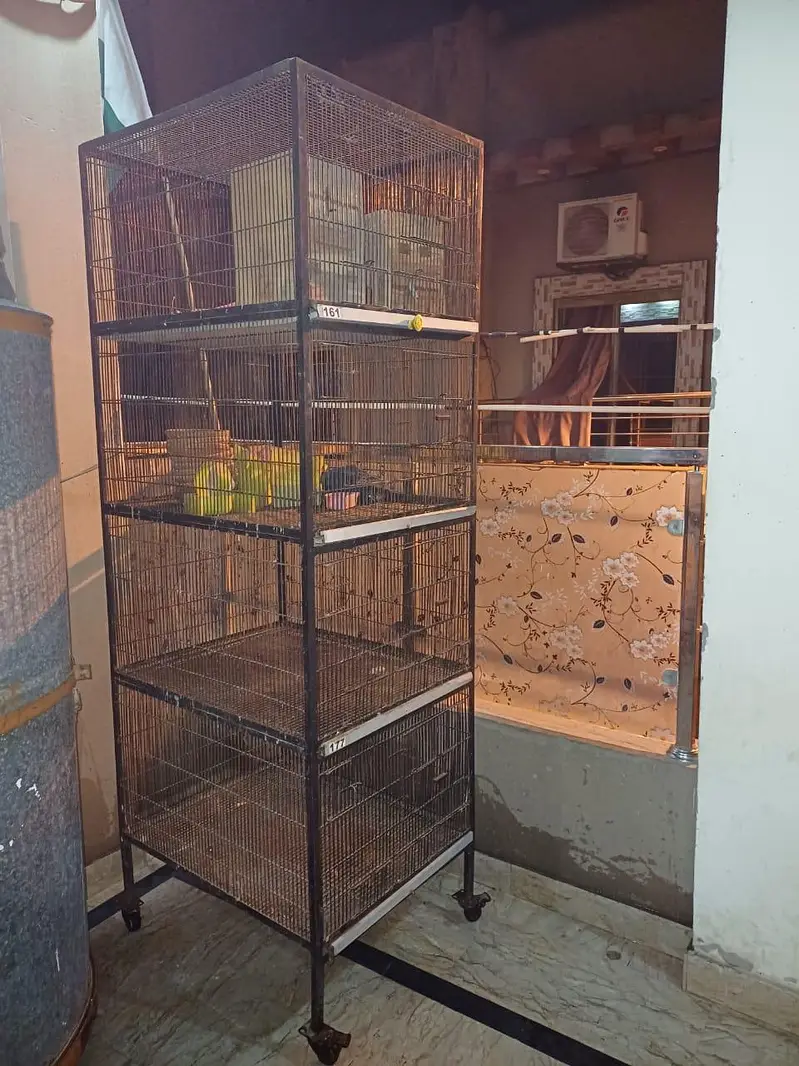 Cages — photo 2