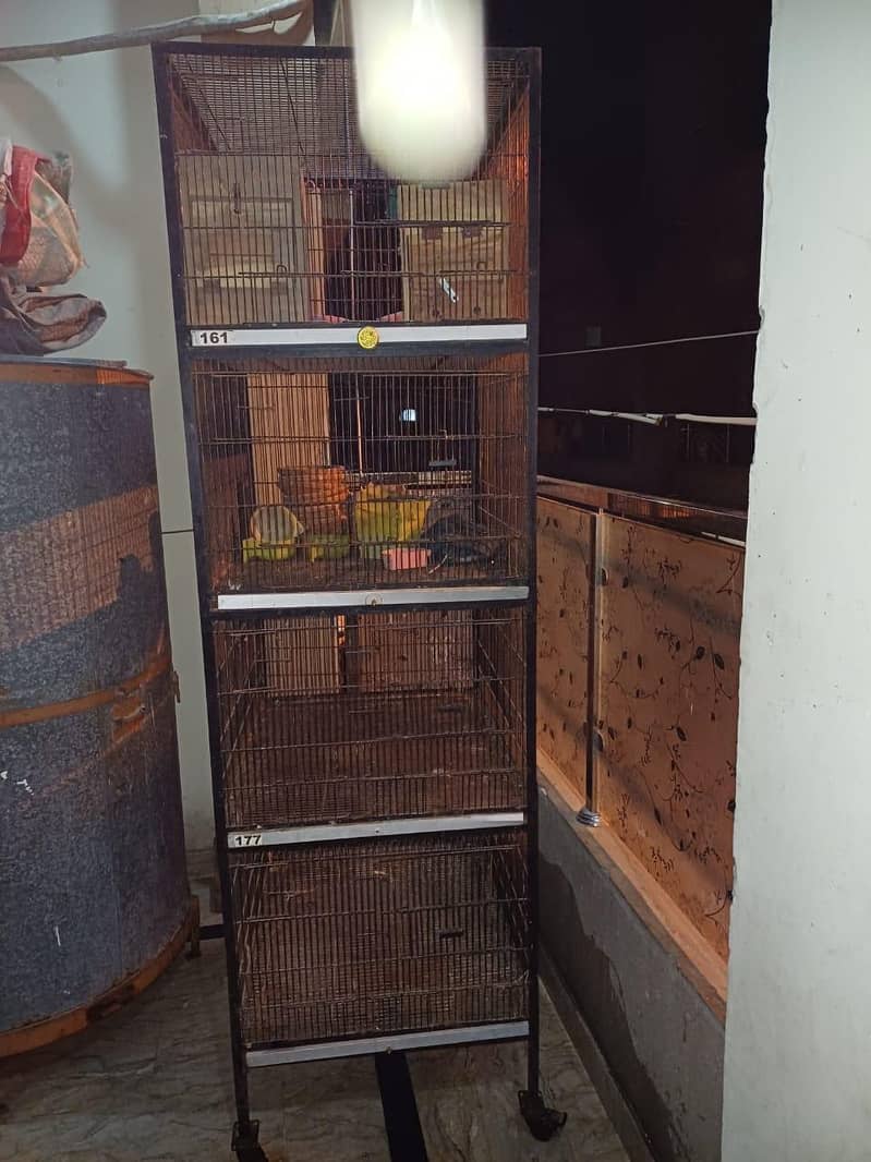 Cages 3